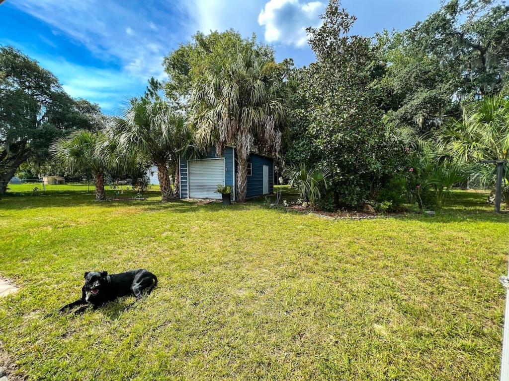 House Of Shells, Beautiful Garden, Fenced Yard, Dog Friendly, Fire Pit! Villa Crystal River Buitenkant foto