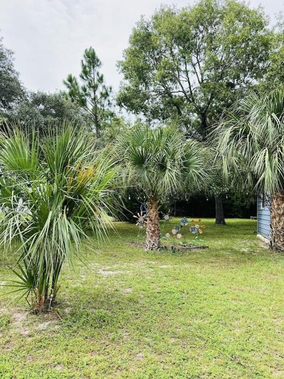 House Of Shells, Beautiful Garden, Fenced Yard, Dog Friendly, Fire Pit! Villa Crystal River Buitenkant foto